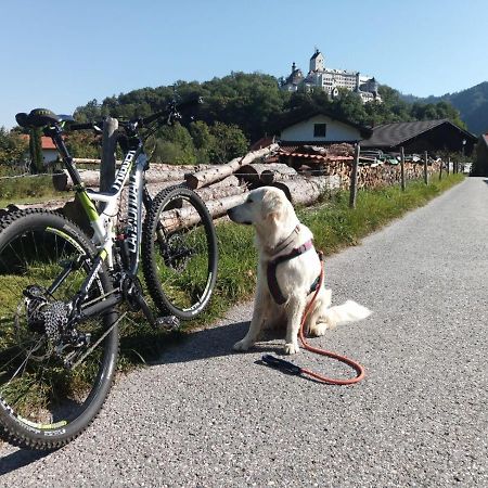 Ciao-Aschau Fewo Roeder Lägenhet Aschau im Chiemgau Exteriör bild