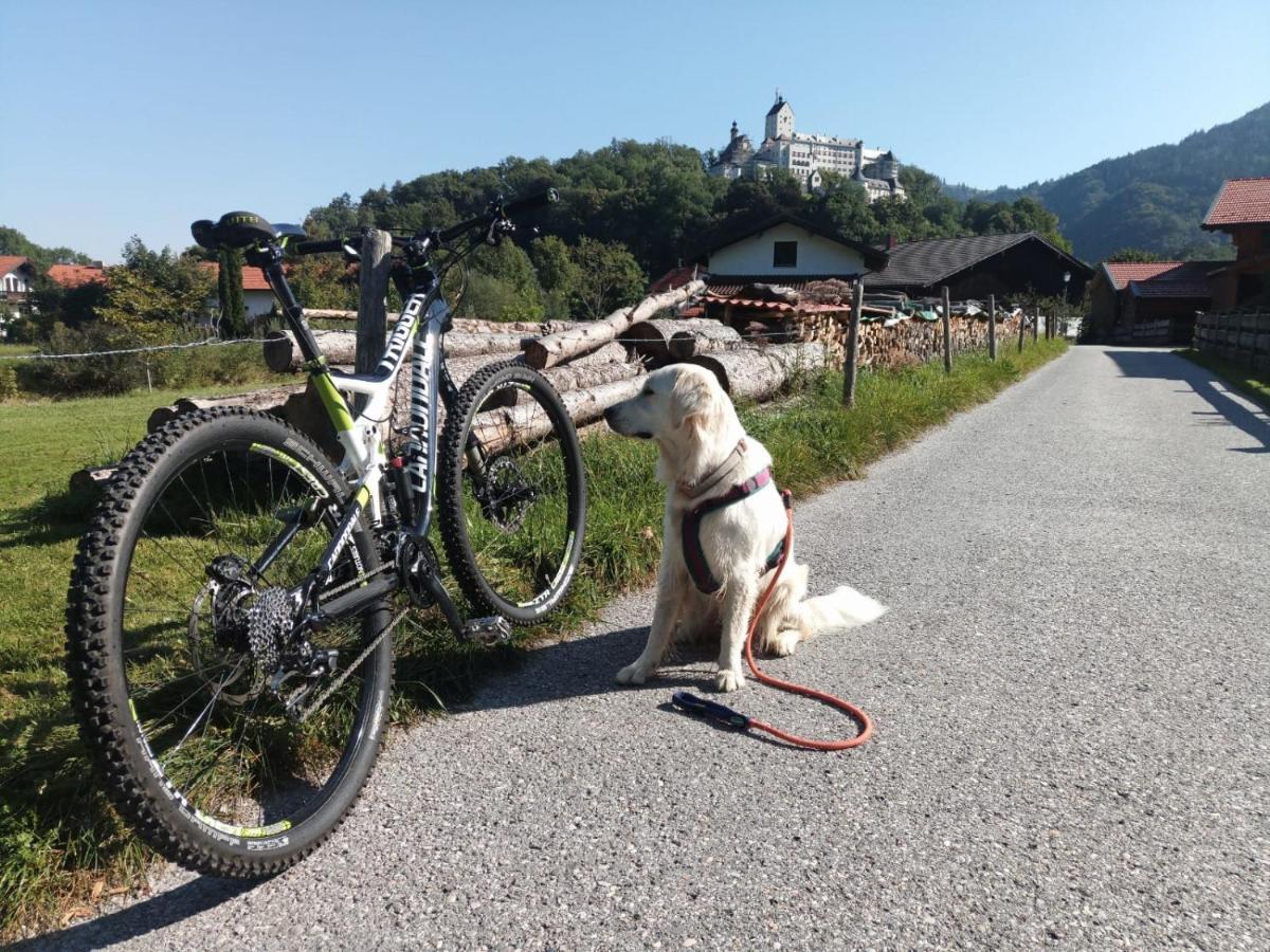 Ciao-Aschau Fewo Roeder Lägenhet Aschau im Chiemgau Exteriör bild